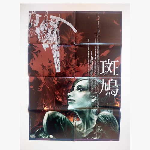 2001 raro poster - raro!, ikaruga